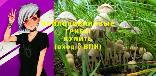 прущая мука Гусев