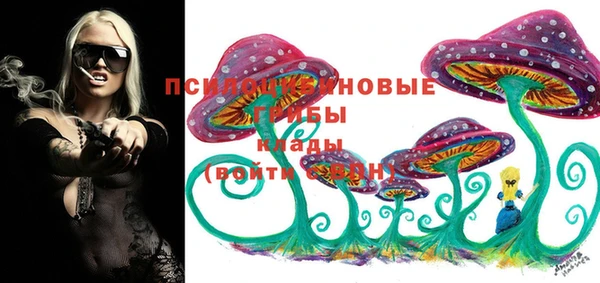 марки lsd Гусиноозёрск