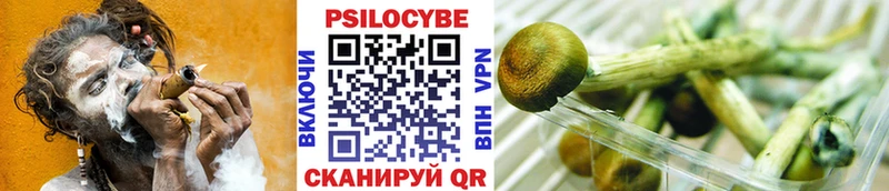 Псилоцибиновые грибы MAGIC MUSHROOMS  Балашиха 