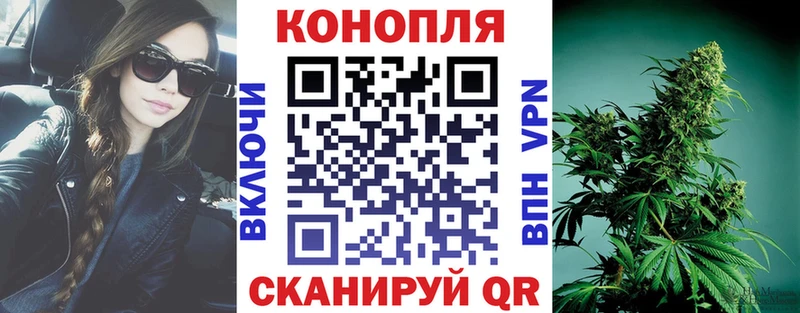 Бошки марихуана SATIVA & INDICA  как найти закладки  Балашиха 